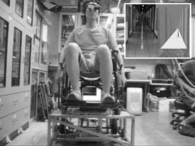 Virtual Reality System